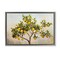 Stupell Industries Lemon Tree Branches Framed Floater Canvas Wall Art Design by RB